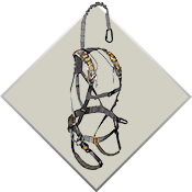 Image of Safety Harnesses