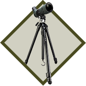 Tripods and Mounts Image